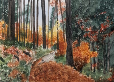 Anna Pfeiffer - Herbstwanderung bei Siedelsbrunn im Odenwald